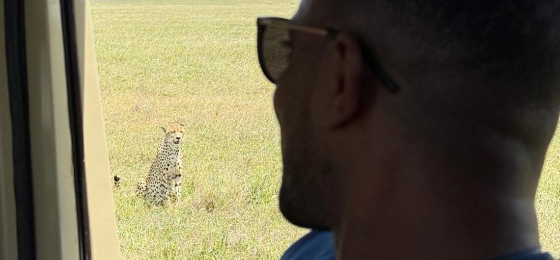 Serengeti Tanzania Wildlife safari